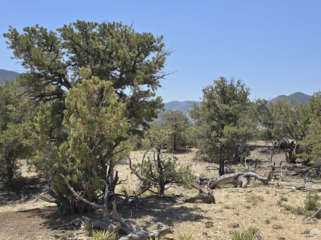 35700 Strawberry River Rd, Duchesne, UT 84021