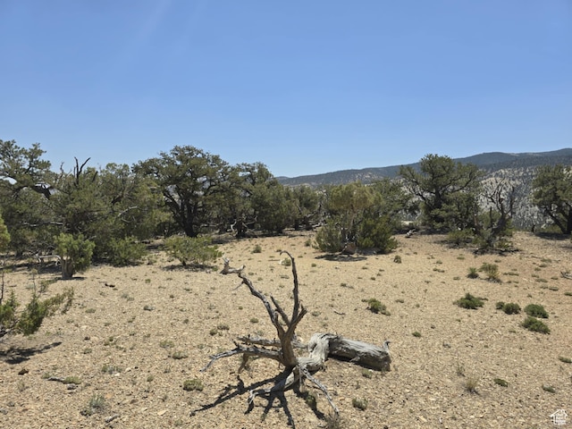 35700 Strawberry River Rd, Duchesne, UT 84021