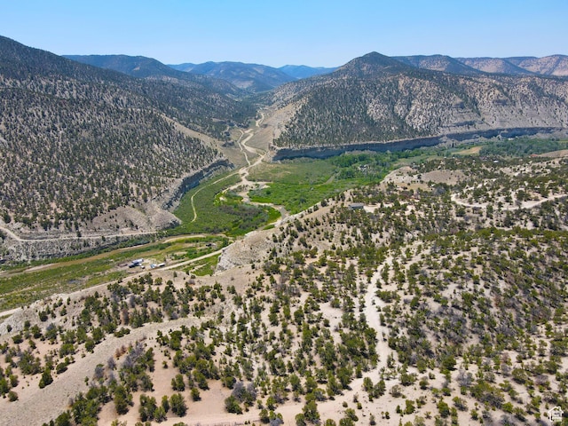 35700 Strawberry River Rd, Duchesne, UT 84021