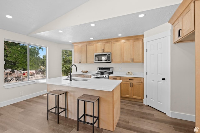 2139 N 300 W, Lehi, UT 84043 - kitchen featuring appliances with stainless steel finishes, a sink, light brown cabinets, wood finished floors, and lofted ceiling