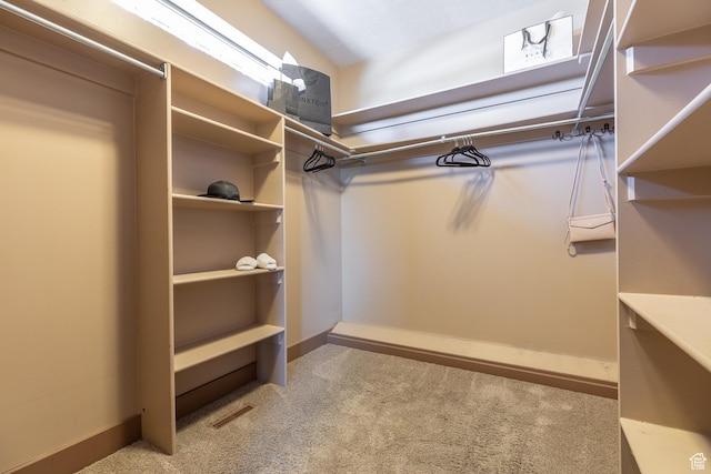 13966 S Arrow Creek Dr E, Draper, UT 84020 - spacious closet featuring carpet flooring
