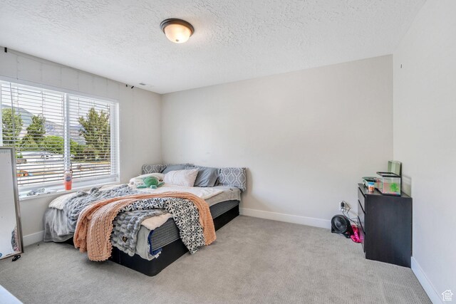 1485 W 1930 N, Pleasant Grove, UT 84062 - carpeted bedroom with a textured ceiling and baseboards