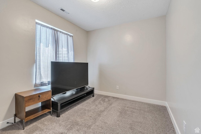 1485 W 1930 N, Pleasant Grove, UT 84062 - misc room featuring carpet flooring, baseboards, and a textured ceiling