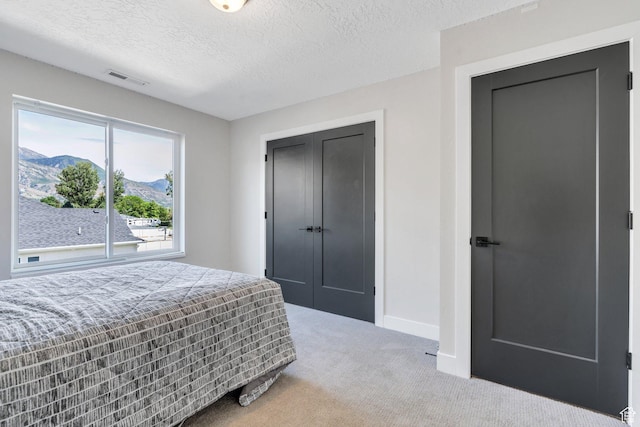 1485 W 1930 N, Pleasant Grove, UT 84062 - bedroom with carpet, baseboards, a textured ceiling, a mountain view, and a closet