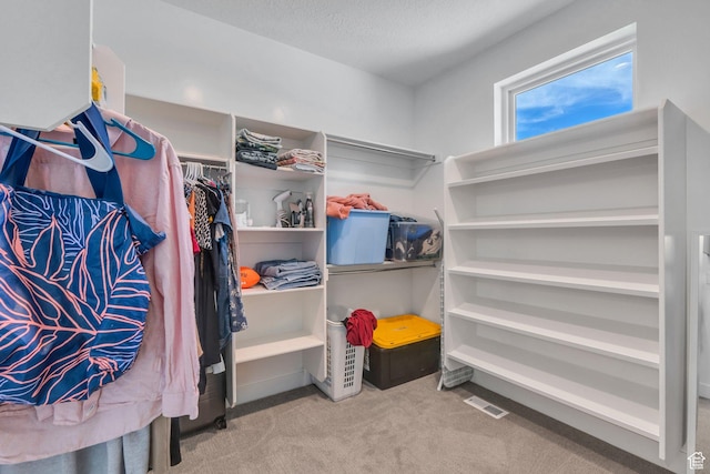 1485 W 1930 N, Pleasant Grove, UT 84062 - spacious closet featuring carpet