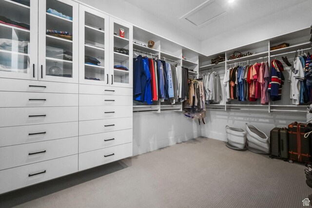 12277 S Emory Peak Cv Unit 404, Herriman, UT 84096 - spacious closet with attic access and carpet