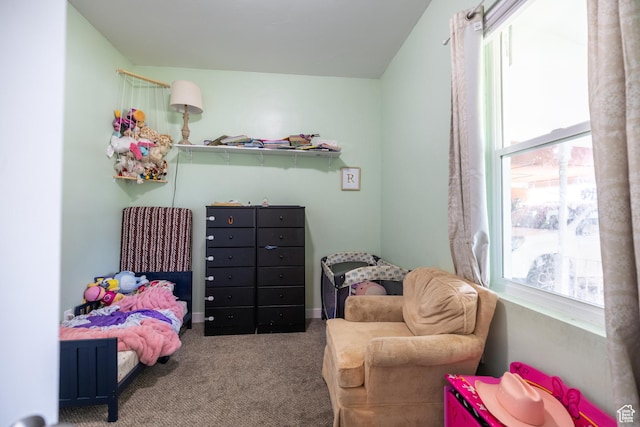 389 E 200 N, Spanish Fork, UT 84660 - bedroom with carpet