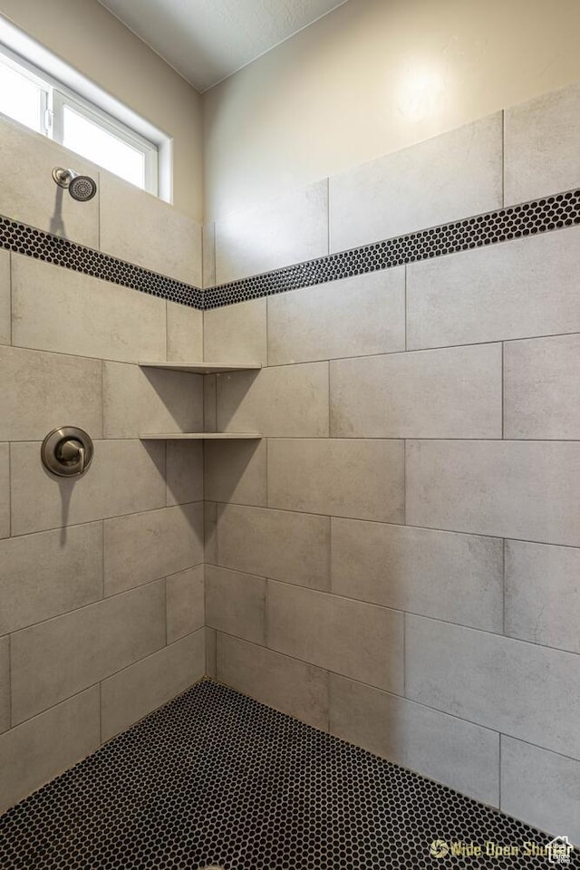 3482 W 150th St N, Hurricane, UT 84737 - full bath with a tile shower