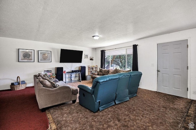 8765 S 300 W, Paradise, UT 84328 - carpeted living area with a textured ceiling