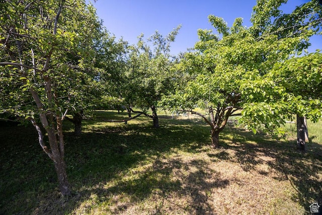 8765 S 300 W, Paradise, UT 84328 - view of green lawn