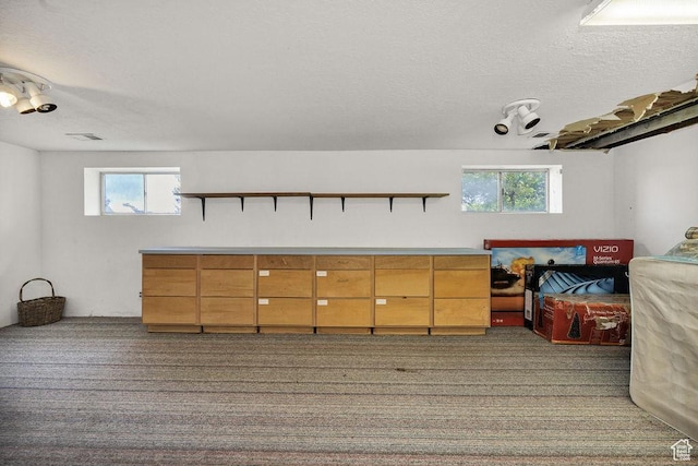 8765 S 300 W, Paradise, UT 84328 - below grade area with carpet floors, healthy amount of natural light, and a textured ceiling