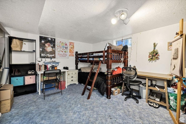 8765 S 300 W, Paradise, UT 84328 - carpeted bedroom with a textured ceiling