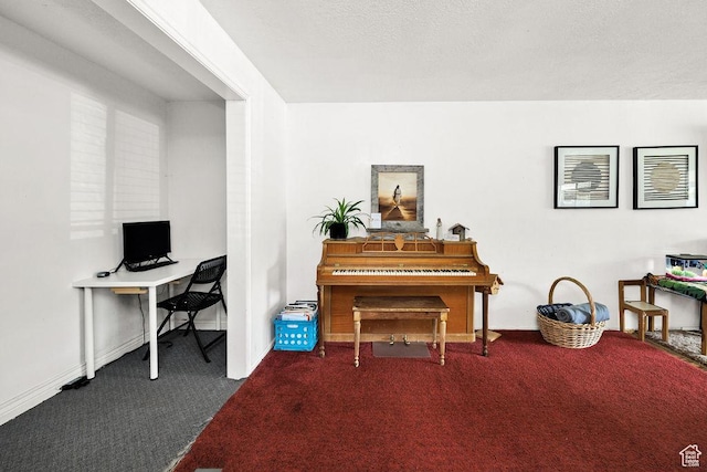 8765 S 300 W, Paradise, UT 84328 - office featuring carpet flooring and baseboards