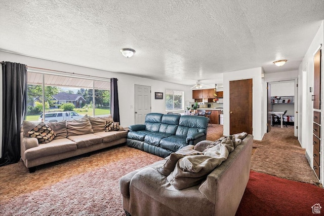 8765 S 300 W, Paradise, UT 84328 - living room with carpet flooring and a textured ceiling