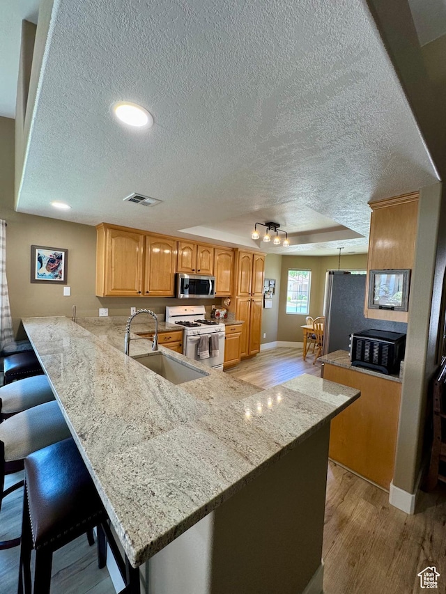 1825 W Mathis Park Pl Unit 13, St George, UT 84770 - kitchen with white gas range oven, stainless steel microwave, light wood-style flooring, a textured ceiling, and a sink