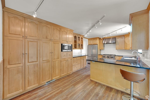 2967 E Branch Dr S, Holladay, UT 84117 - kitchen with stainless steel appliances, track lighting, wall chimney exhaust hood, a sink, and light brown cabinetry