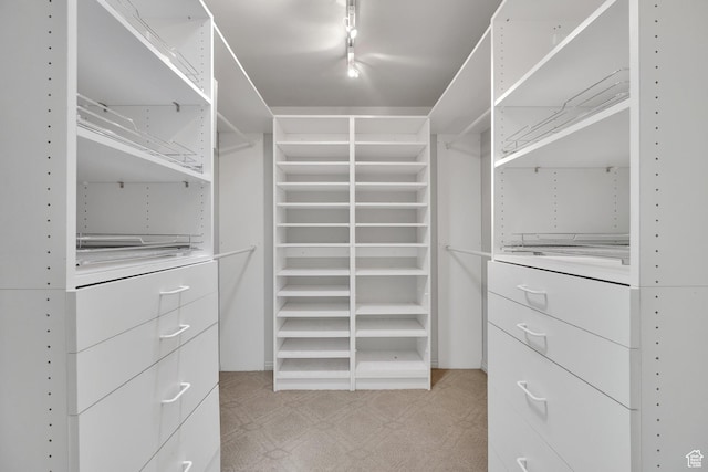 2967 E Branch Dr S, Holladay, UT 84117 - spacious closet with light colored carpet