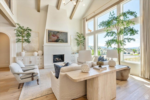 807 N 780 W, American Fork, UT 84003 - living area with high vaulted ceiling, light wood-type flooring, healthy amount of natural light, arched walkways, and a fireplace