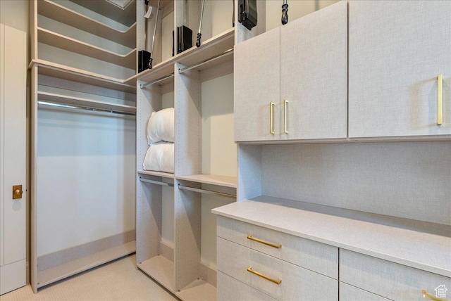 807 N 780 W, American Fork, UT 84003 - view of spacious closet