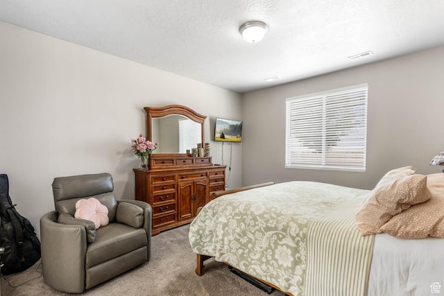 1165 W Silver Hollow Rd, Syracuse, UT 84075 - view of carpeted bedroom