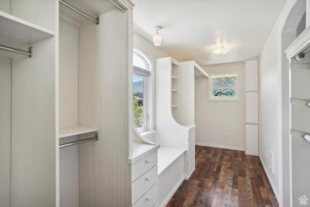 263 W 800 N, Brigham City, UT 84302 - spacious closet with dark wood finished floors