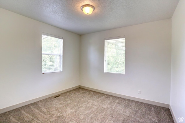 247 E 700 N, Spanish Fork, UT 84660 - spare room with plenty of natural light, light colored carpet, a textured ceiling, and baseboards