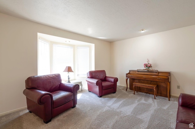 5760 S 1050 E, South Ogden, UT 84405 - living area with carpet floors and baseboards