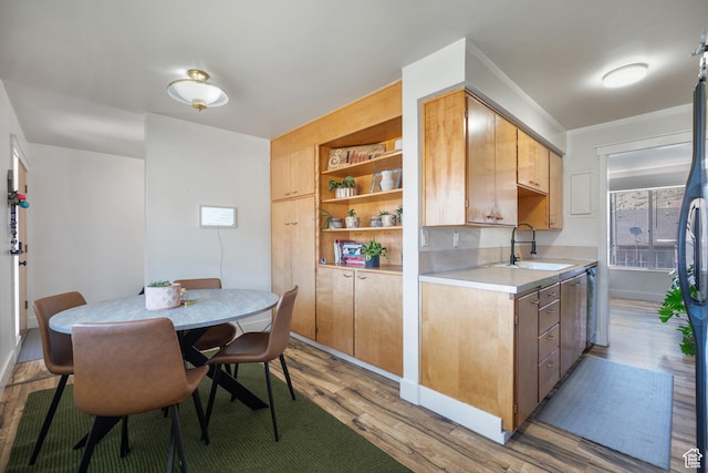 1185 E Hillcrest Dr, Springville, UT 84663 - kitchen featuring a sink, light wood-style floors, light countertops, and open shelves