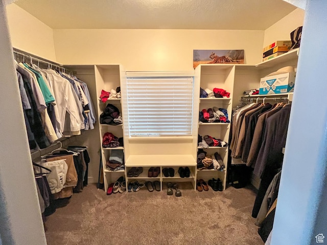 66 N 325th St E, Farmington, UT 84025 - walk in closet with carpet