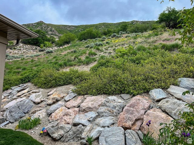 66 N 325th St E, Farmington, UT 84025 - view of yard featuring a mountain view