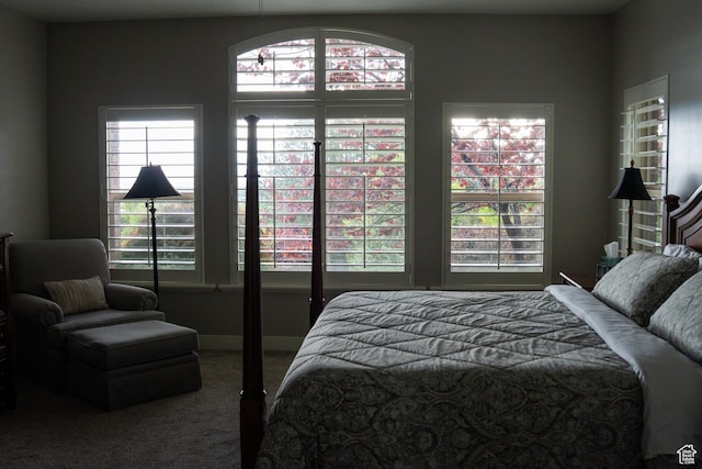 66 N 325th St E, Farmington, UT 84025 - view of carpeted bedroom