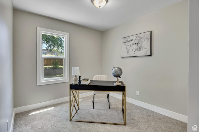 8689 W Edith Dr, Magna, UT 84044 - office space with carpet floors and baseboards