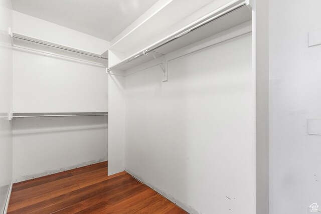 2271 W Pointe Meadow Dr N, Lehi, UT 84043 - walk in closet with wood finished floors