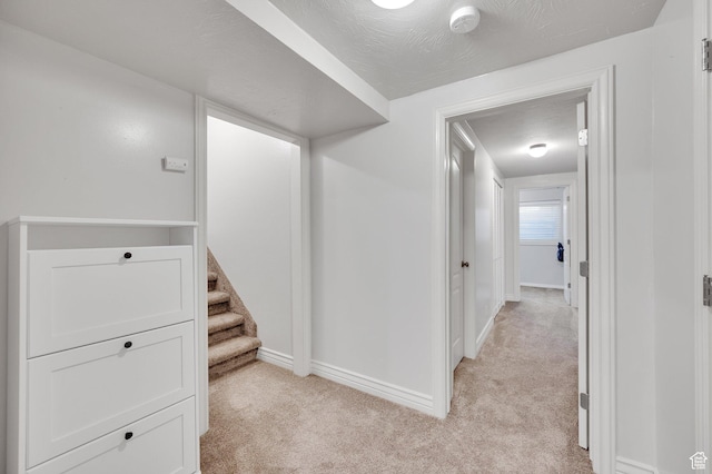 6767 S 1600 W, West Jordan, UT 84084 - corridor with light carpet and baseboards
