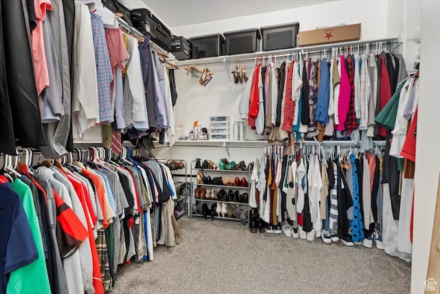 1046 W Seasons View Ct, Lehi, UT 84043 - walk in closet featuring carpet flooring