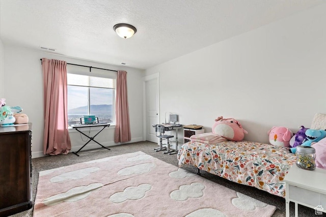1046 W Seasons View Ct, Lehi, UT 84043 - carpeted bedroom with a textured ceiling and baseboards