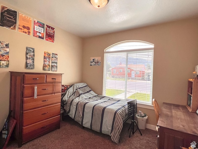 318 W 800 S, Salem, UT 84653 - photo 31