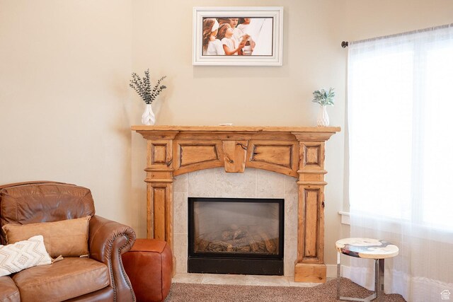318 W 800 S, Salem, UT 84653 - photo 10