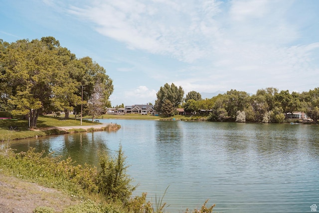 318 W 800 S, Salem, UT 84653 - photo 86