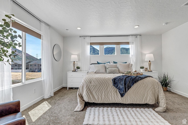 1323 S 3540 E, Spanish Fork, UT 84660 - carpeted bedroom with a textured ceiling and recessed lighting