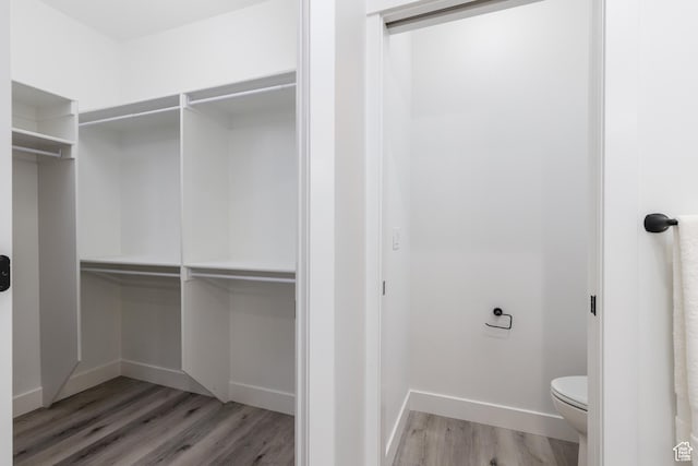 3616 N 600 E, North Ogden, UT 84414 - walk in closet with light wood-type flooring