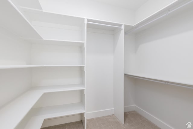 3616 N 600 E, North Ogden, UT 84414 - walk in closet featuring carpet floors