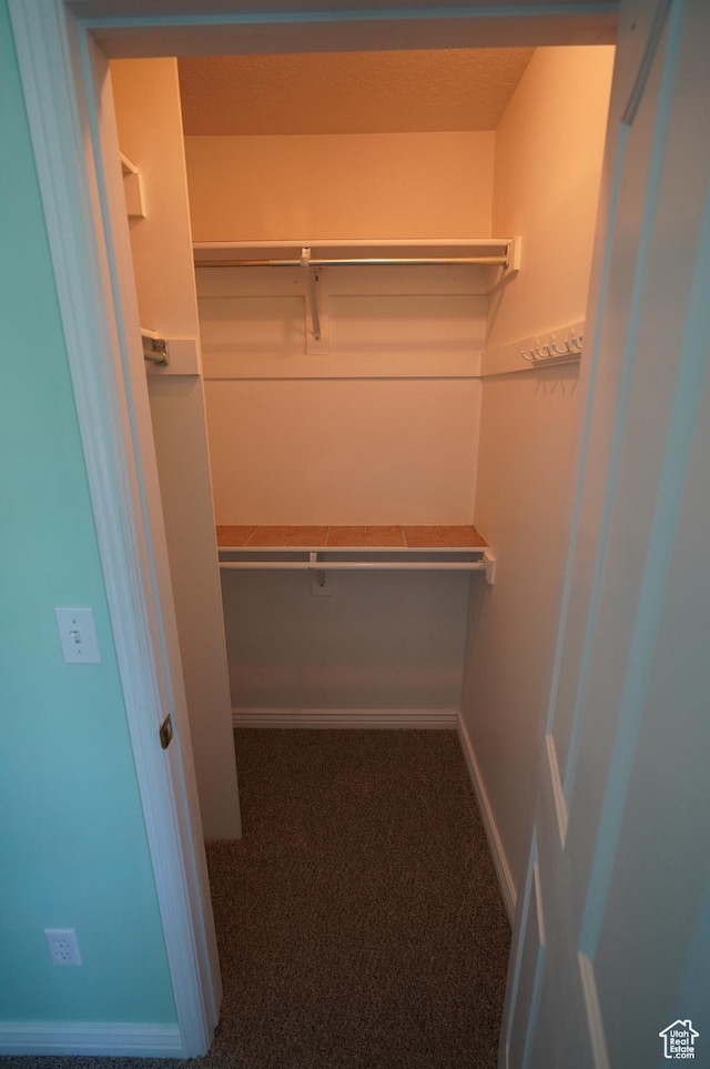 2881 N 450 E, North Ogden, UT 84414 - walk in closet with carpet flooring
