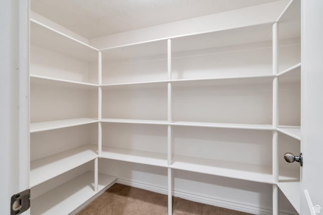 719 E Hampton Ct N, Alpine, UT 84004 - view of pantry