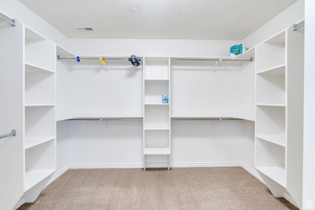719 E Hampton Ct N, Alpine, UT 84004 - spacious closet with carpet