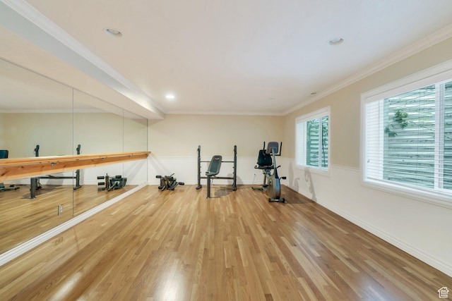 719 E Hampton Ct N, Alpine, UT 84004 - exercise area with light wood-style floors, baseboards, crown molding, and recessed lighting