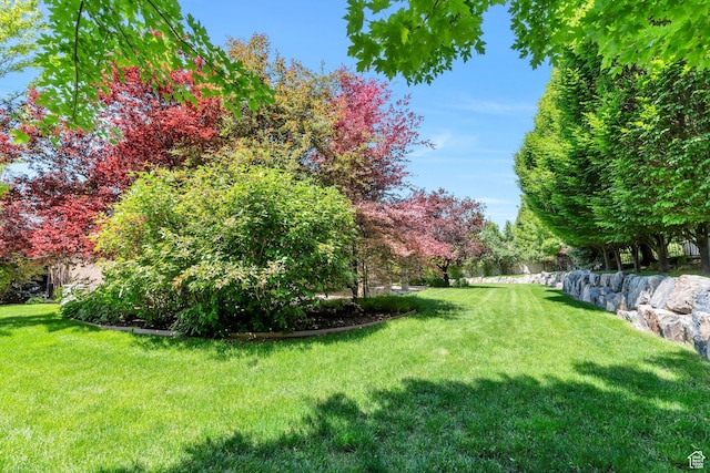 719 E Hampton Ct N, Alpine, UT 84004 - view of grassy yard