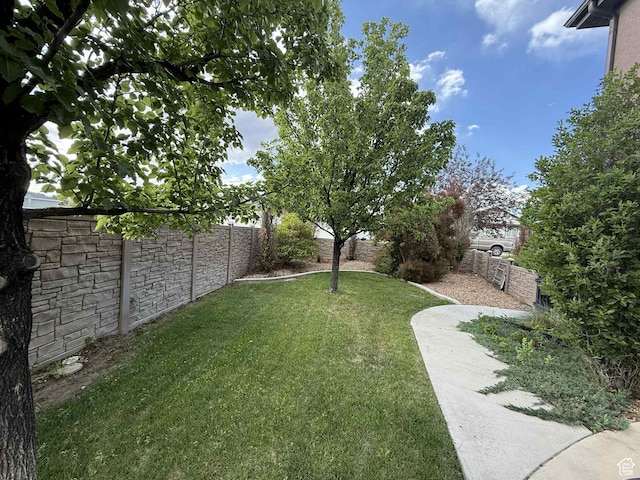 639 N 1550 E, Price, UT 84501 - view of yard