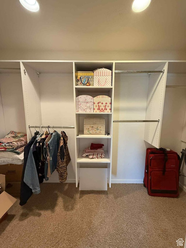 639 N 1550 E, Price, UT 84501 - spacious closet featuring carpet floors