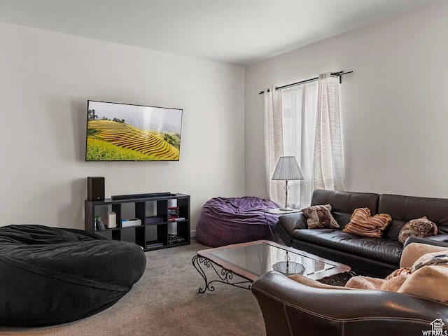 5103 W Laureston Way, Herriman, UT 84096 - view of carpeted living area